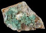 Fluorite Crystal Cluster - Rogerley Mine #60372-2